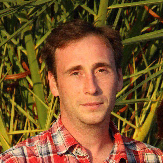 Владимир Толстик